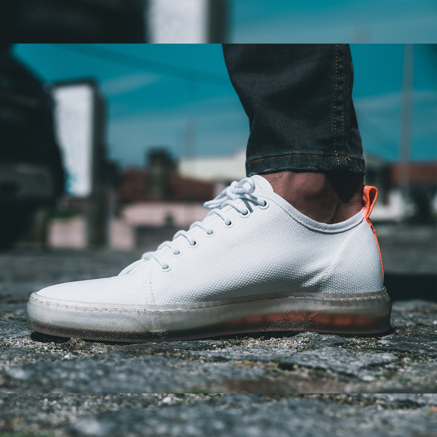 Sneakers Sand White